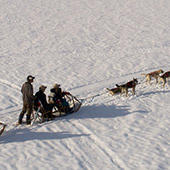 juneau alaska dog sledding tour