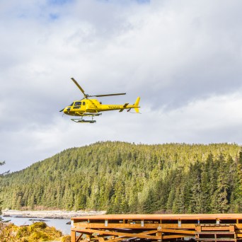 a plane flying over a forest