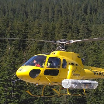 a helicopter parked in a forest